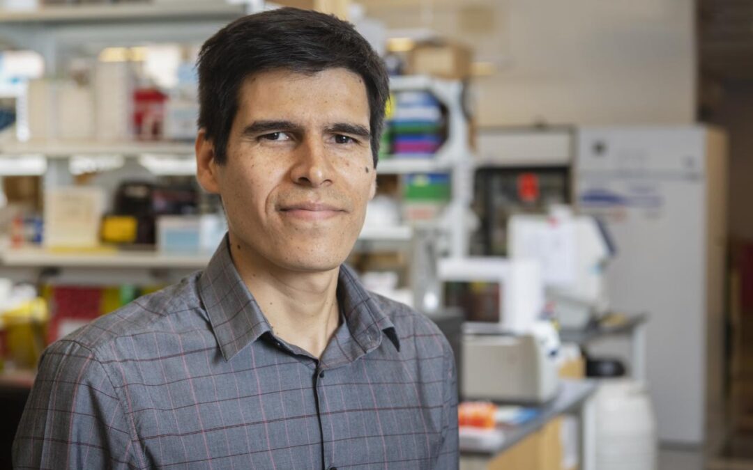 Felipe García Quiróz es el Nuevo Innovador del año en Estados Unidos