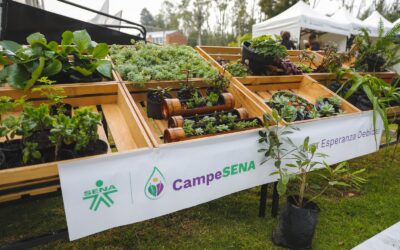 Llegó CampeSENA, una iniciativa para impulsar el campo colombiano