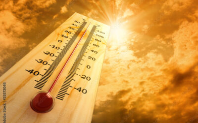 QUE HACER ANTE UN GOLPE DE CALOR